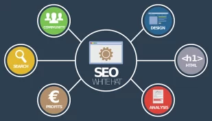 jasa SEO website