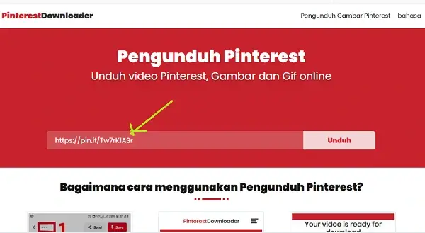 pinterest video downloader