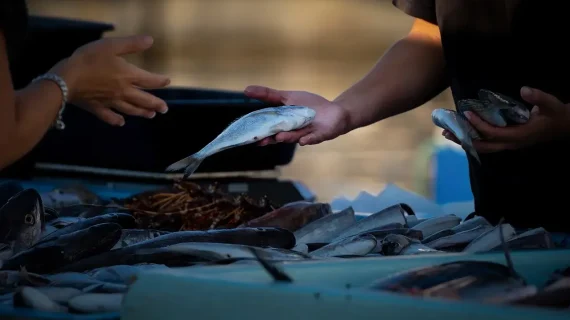 Cara Menghitung Modal dan Harga Jual Agar Bisnis Profitable