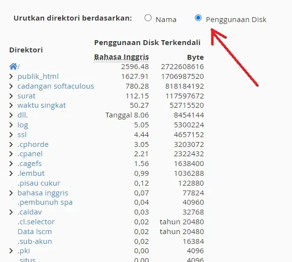 cara cek disk usage