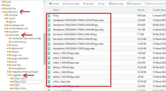 cara menghapus file di cpanel