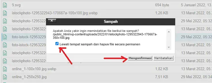hapus file di cpanel
